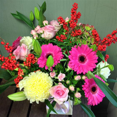 Warming Pinks