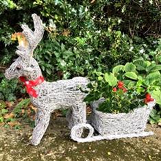 Christmas Reindeer with Sleigh