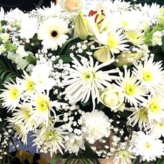 Casket Spray Assorted White Flowers - 3&#39;