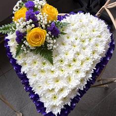 Heart edged in purple